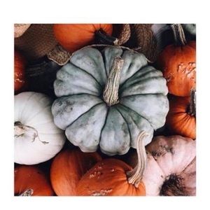 Meet your Posher, Jona